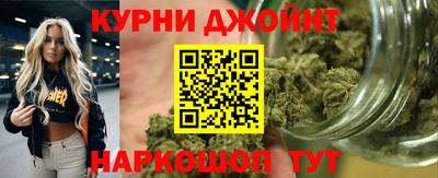 крисы Сланцы