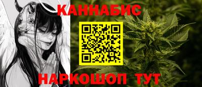 крисы Сланцы