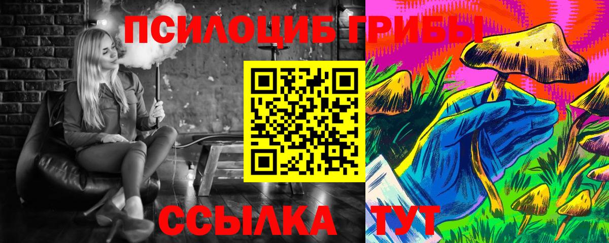 купить   Вход с VPN  Армавир  Галлюциногенные грибы Psilocybe 