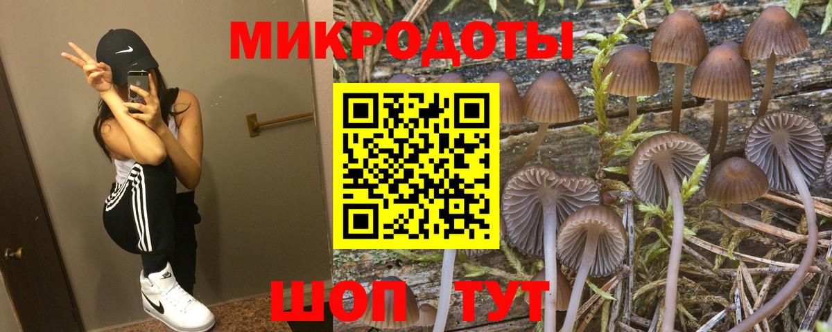 Галлюциногенные грибы Cubensis Армавир
